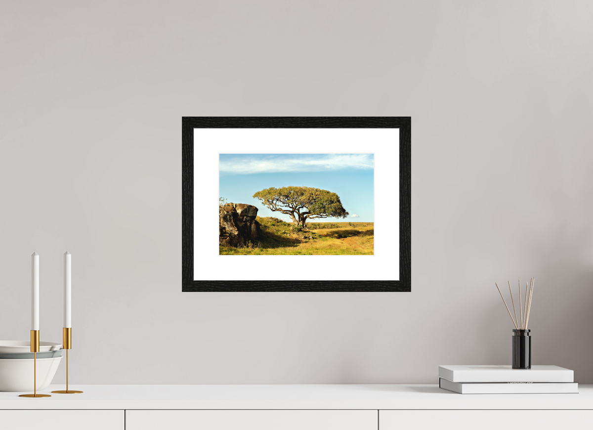 30 x 20 cm, Smooth Natural Paper Print with Frame Acacia Tree - Masai Mara NP - Kenya