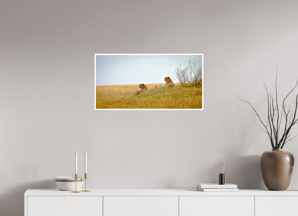 79.1 x 40 cm, Fujiflex High Gloss with 1 cm Border Cheetah Connection