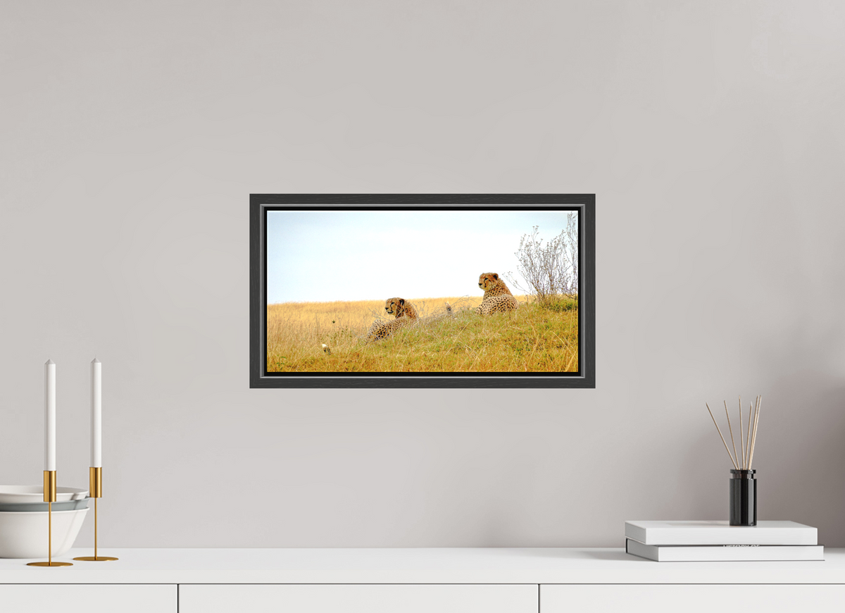 39.6 x 20 cm, Matte Canvas on 20 mm Stretcher Frame Cheetah Connection