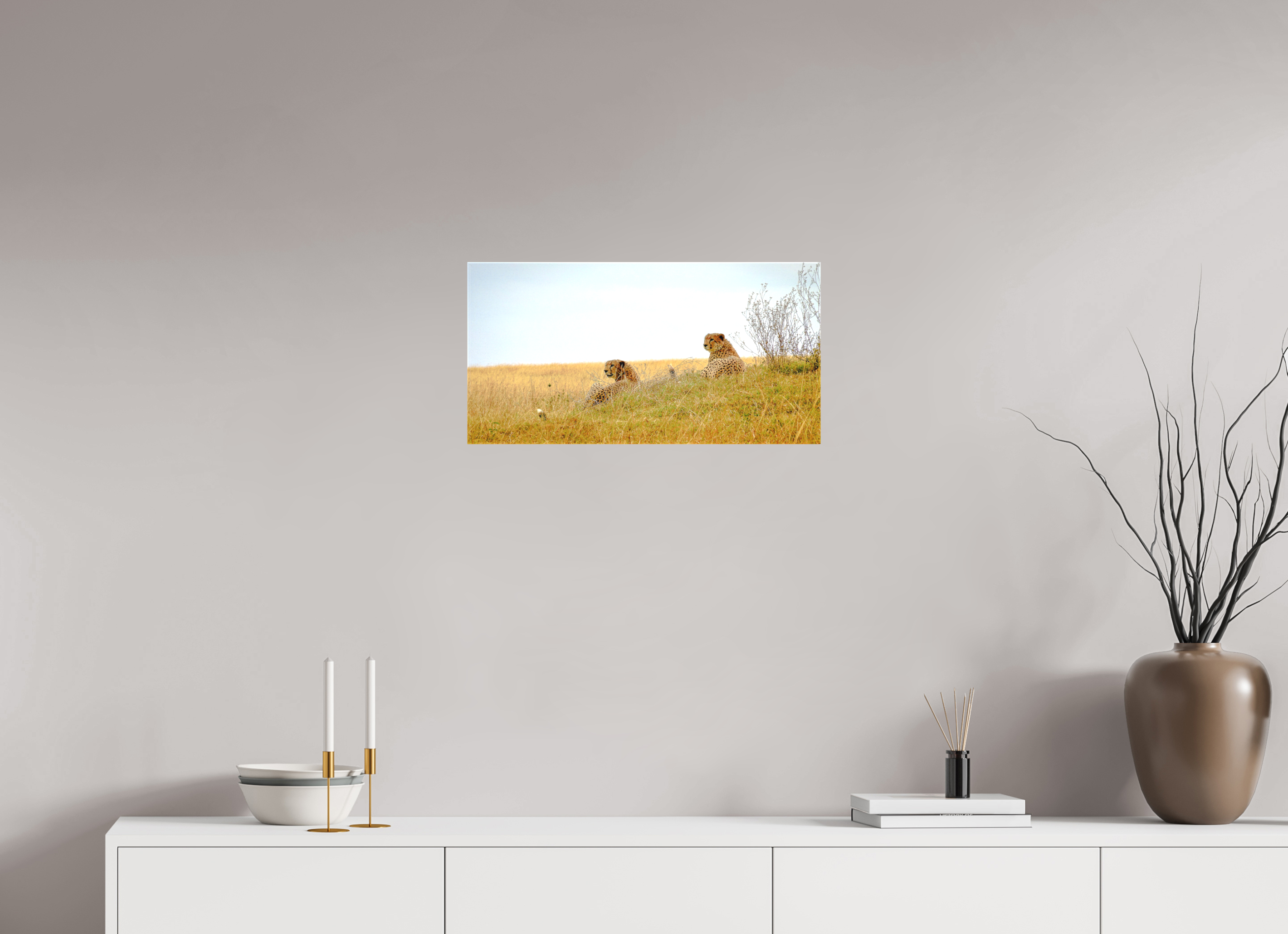 59.3 x 30 cm, Matte Canvas on Stretcher Frame Cheetah Connection