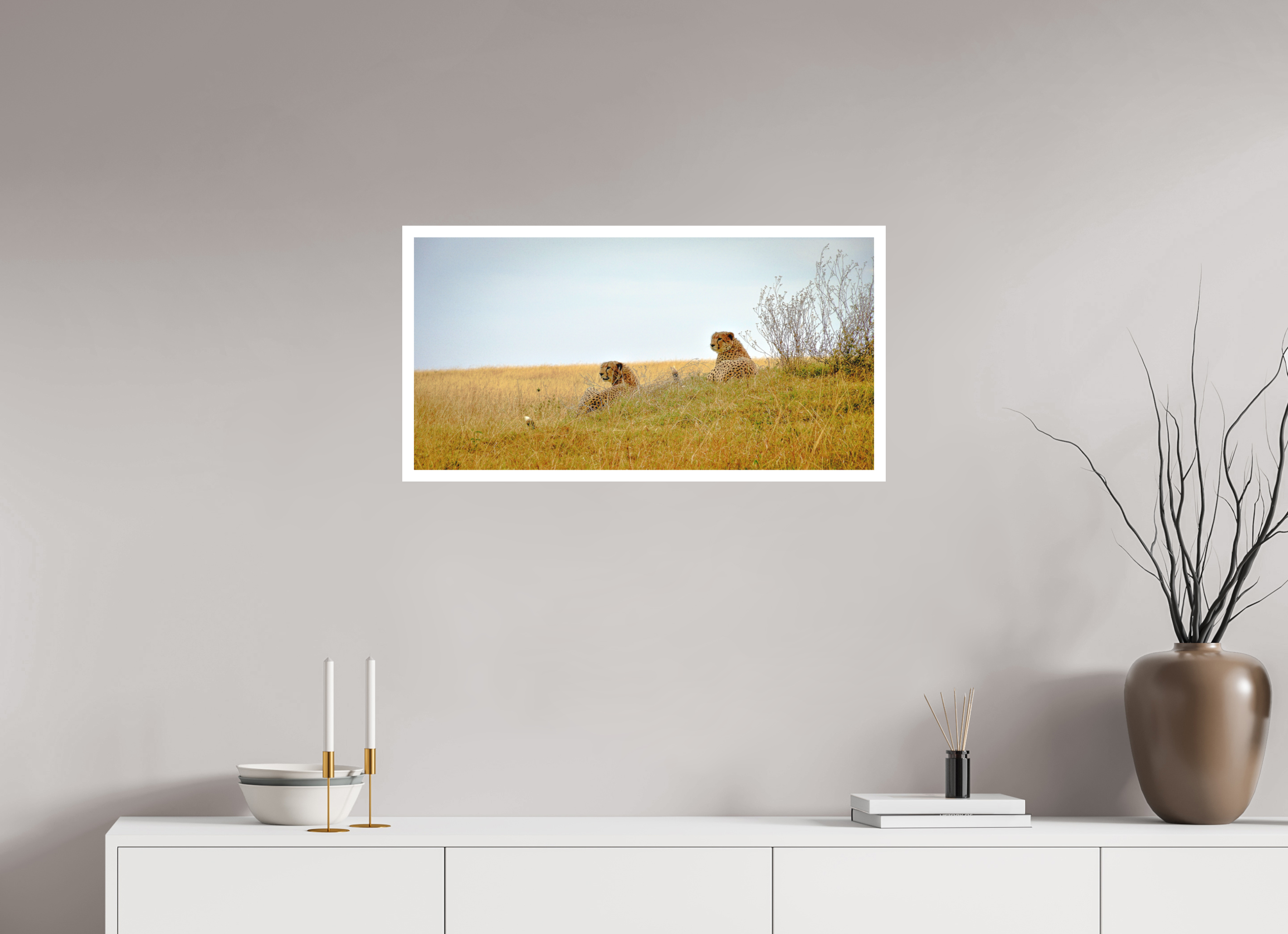 79.1 x 40 cm, Print on Forex with Mounting Cheetah Connection