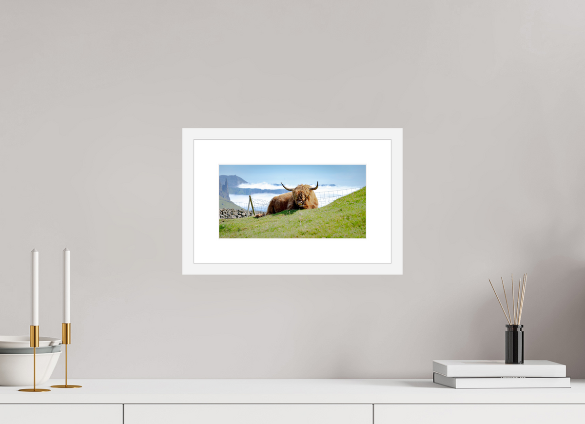 28.9 x 15 cm, Fine Art Print with Frame Highland Cow of the Faroe Islands