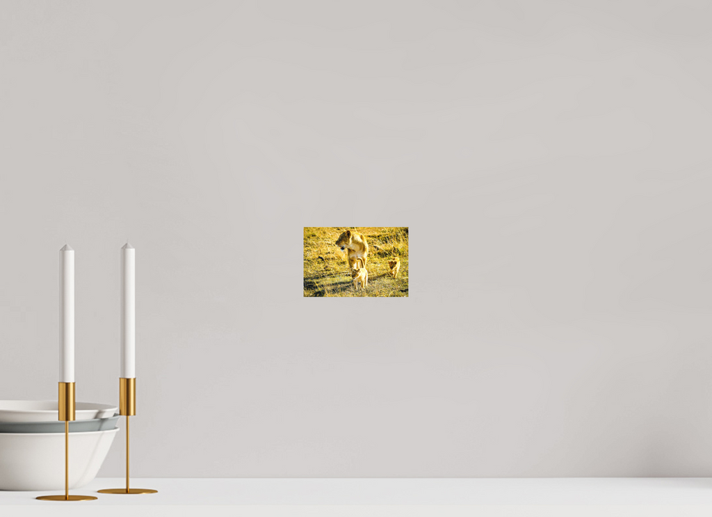 15 x 10 cm, Fine Art Print Smooth Savanna Legacy