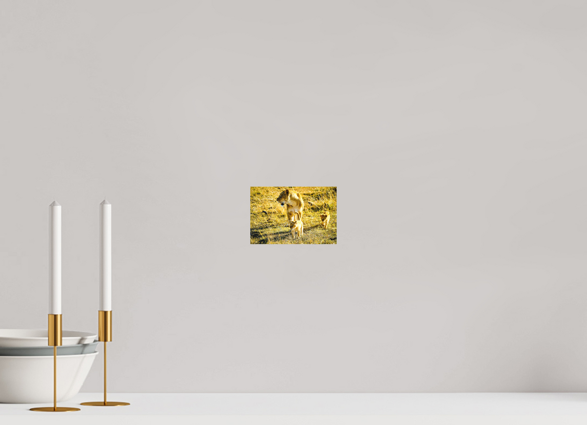 15 x 10 cm, Fine Art Print Smooth Savanna Legacy