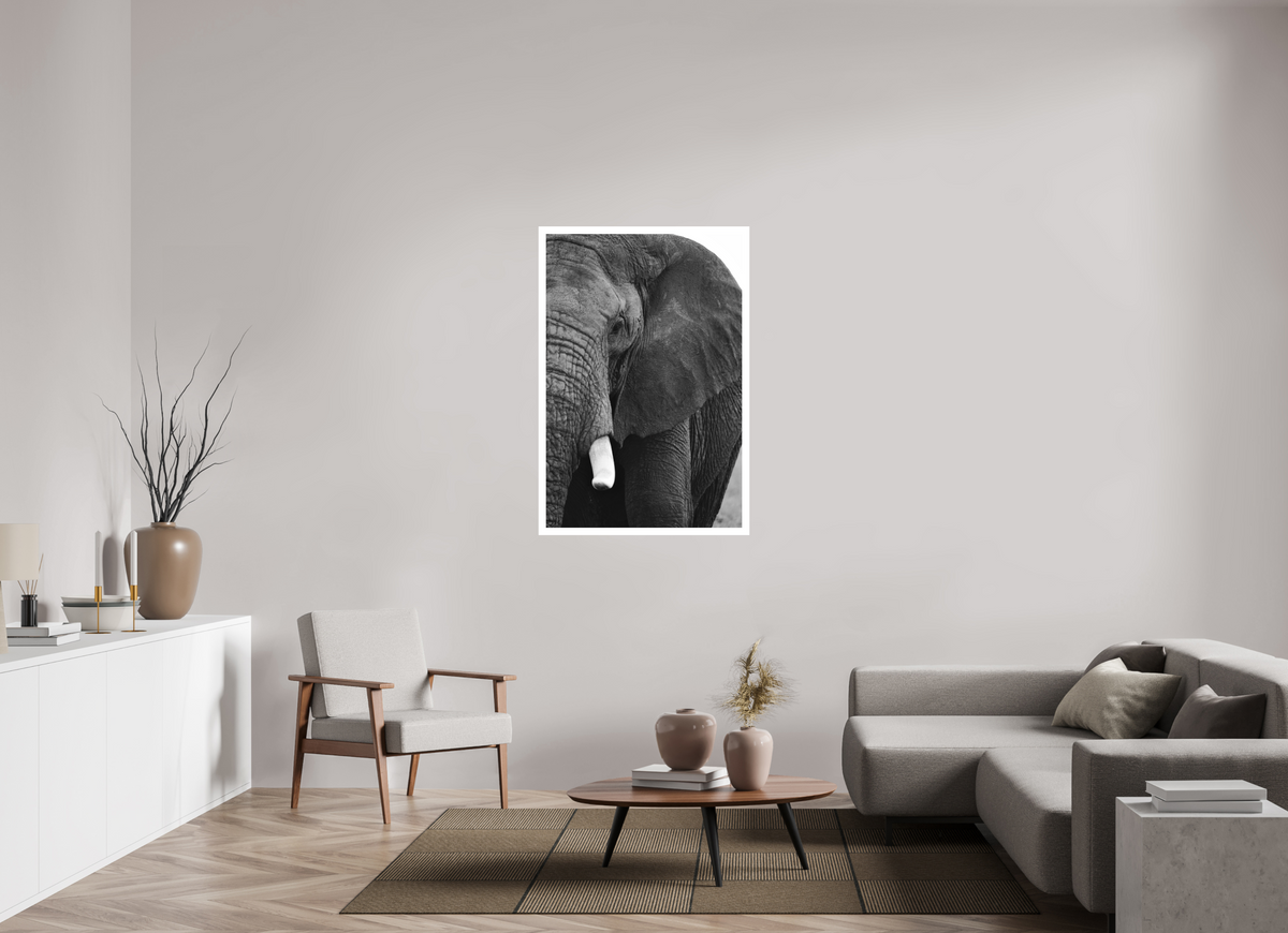 80 x 120 cm, Acrylic Glass Ilford The Hidden Side of the Elephant