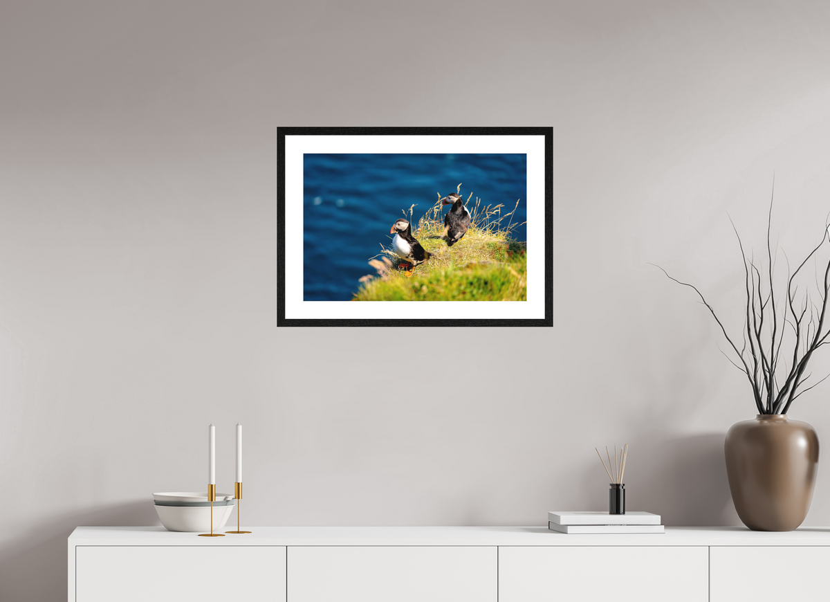 60 x 40 cm, Smooth Natural Paper Print with Frame Clifftop Puffins