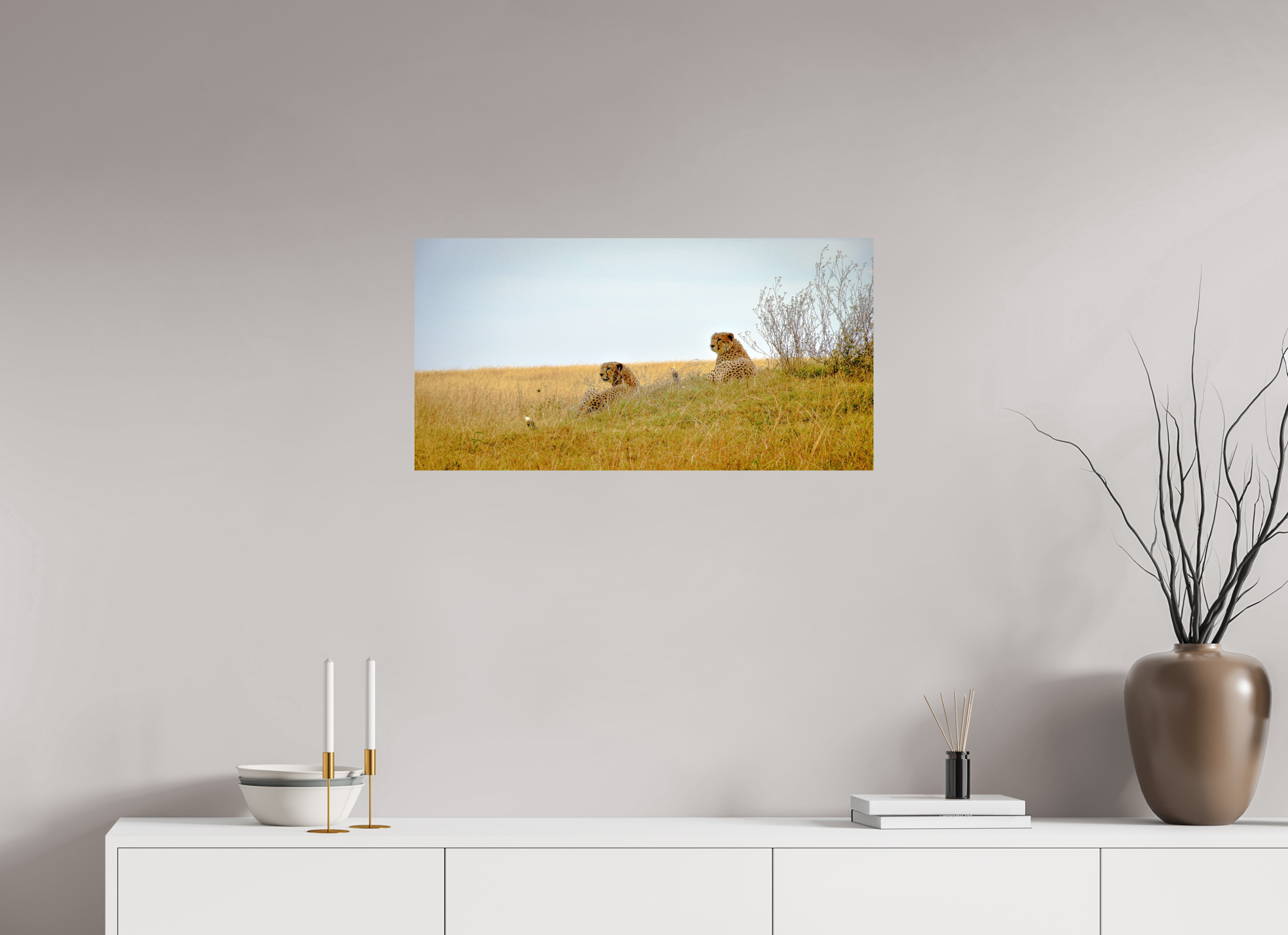 79.1 x 40 cm, Photo Print On Fuji Crystal DP II Cheetah Connection