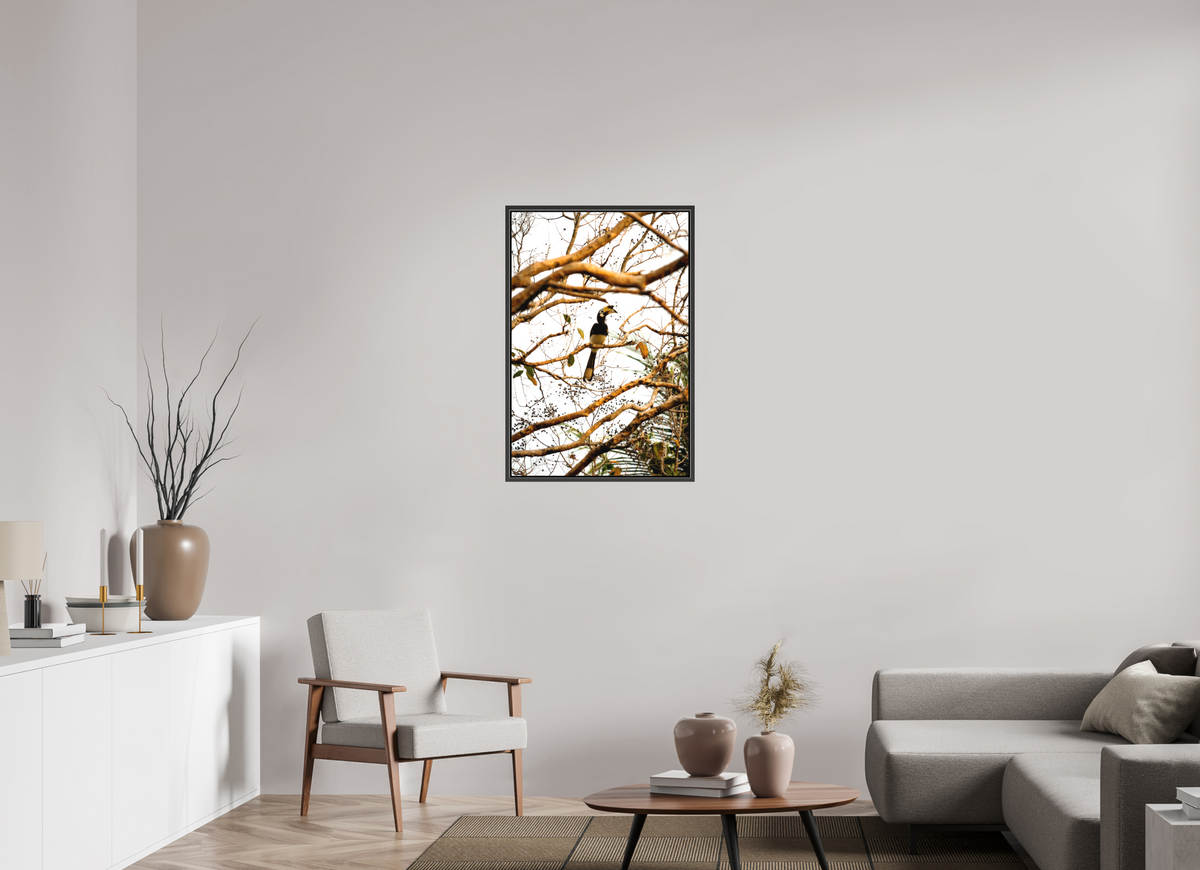 60 x 90 cm, Textile Print Canvas with 15 mm Width Gap Frame Hornbill at Rest