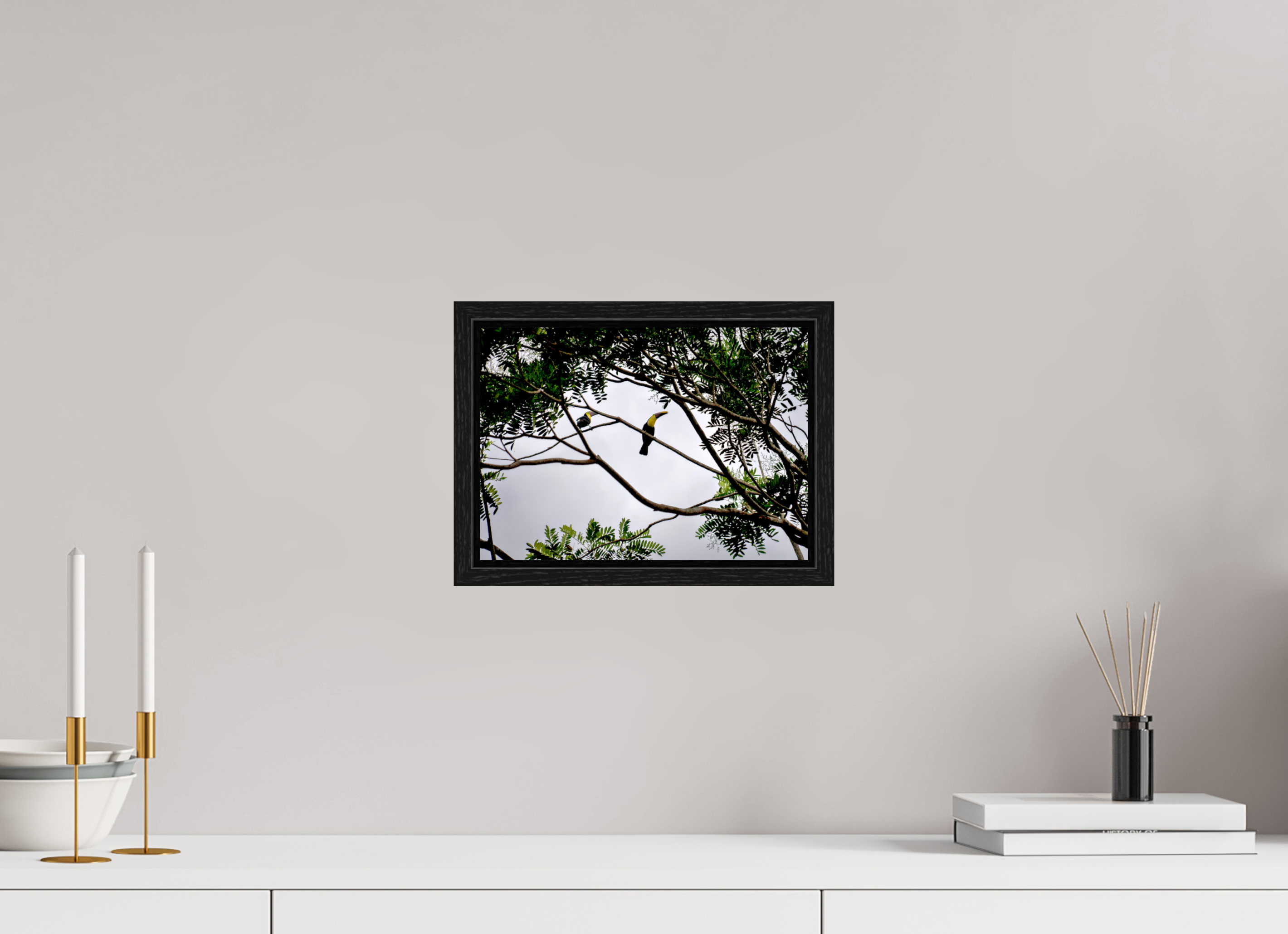 28.2 x 20 cm, Floater Frame A Hornbill on a Branch