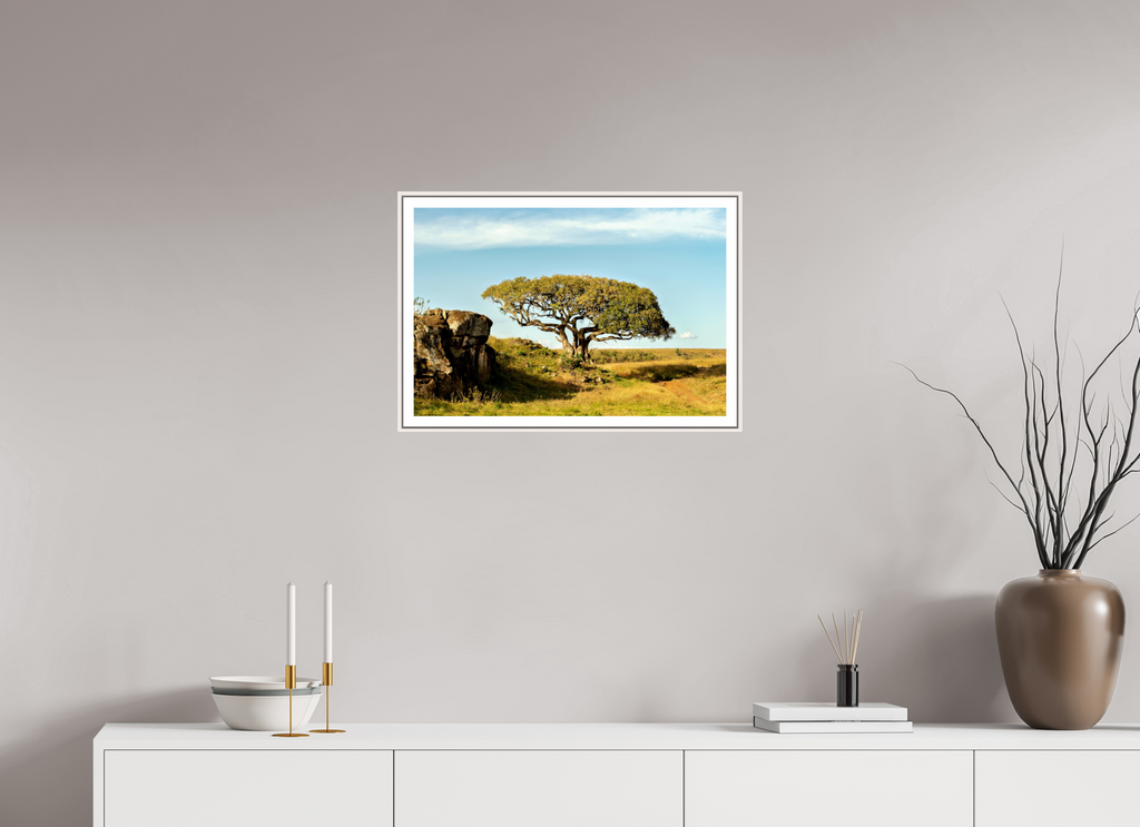 60 x 40 cm, Fine Art Print On Framed Aluminum Dibond Acacia Tree - Masai Mara NP - Kenya