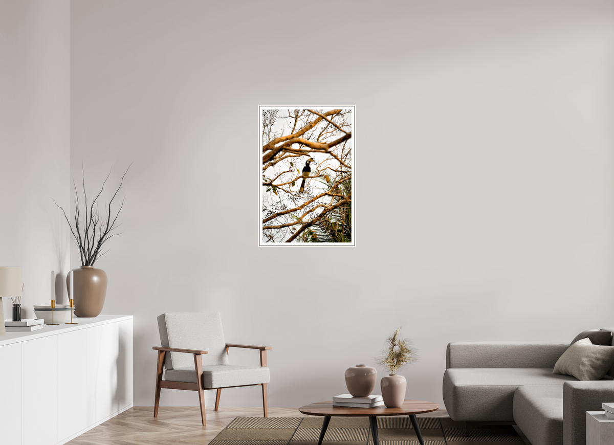60 x 90 cm, Fine Art Print On Framed Aluminum Dibond Hornbill at Rest