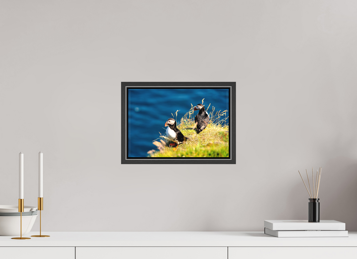 30 x 20 cm, Matte Canvas on 20 mm Stretcher Frame Clifftop Puffins