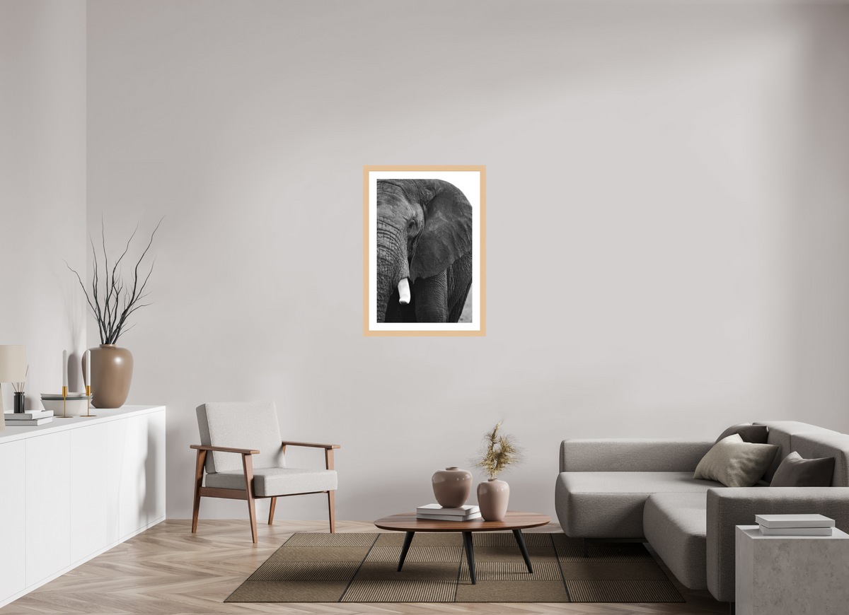 60 x 90 cm, Hamburg 40 mm with Frame The Hidden Side of the Elephant