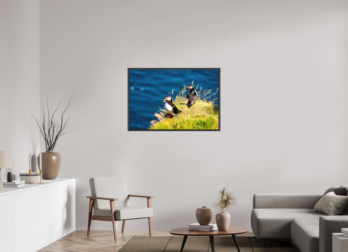 105 x 70 cm, Matte Canvas on 20 mm Stretcher Frame Clifftop Puffins