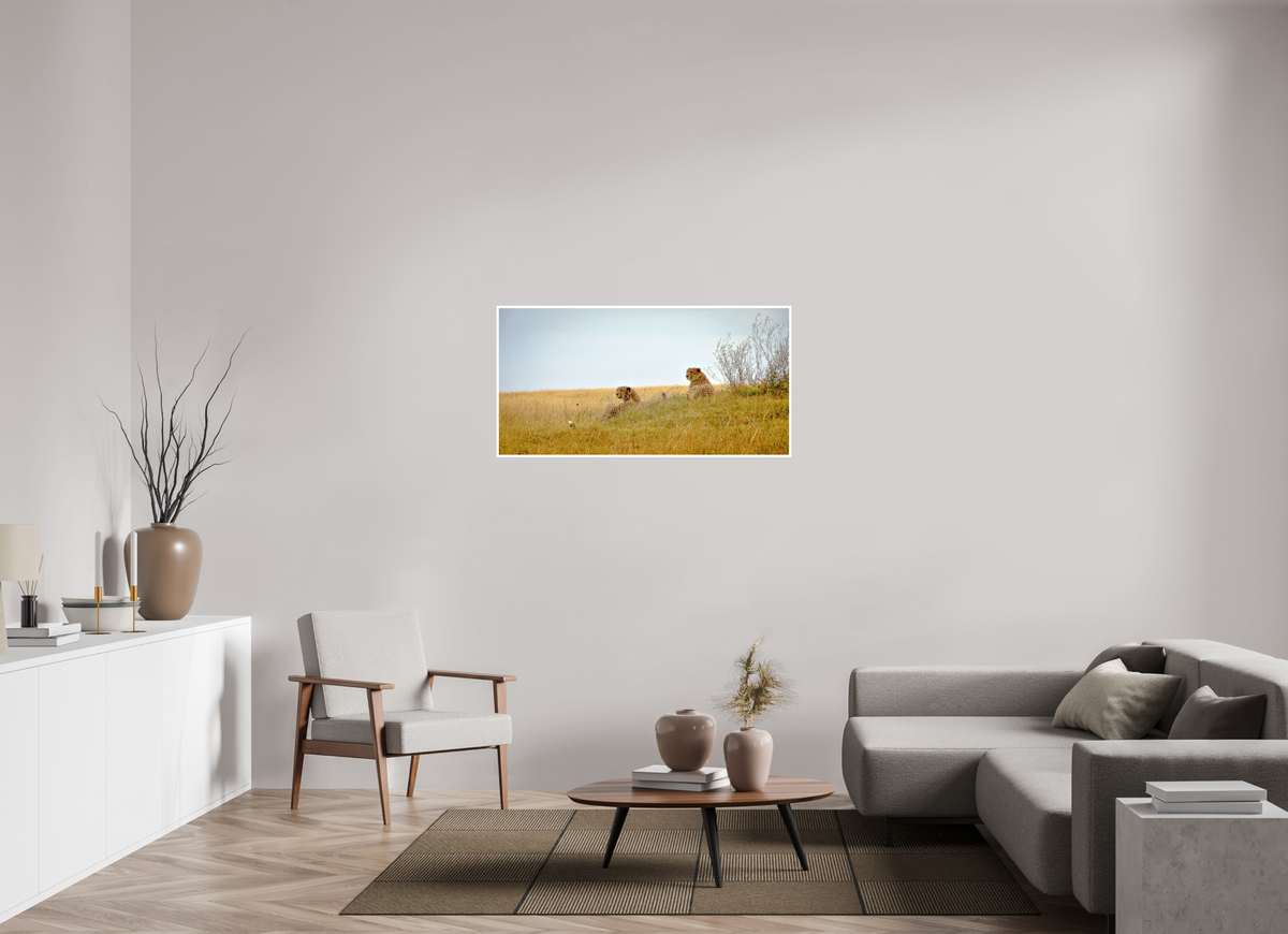 118.7 x 60 cm, Fujiflex High Gloss with 1 cm Border Cheetah Connection