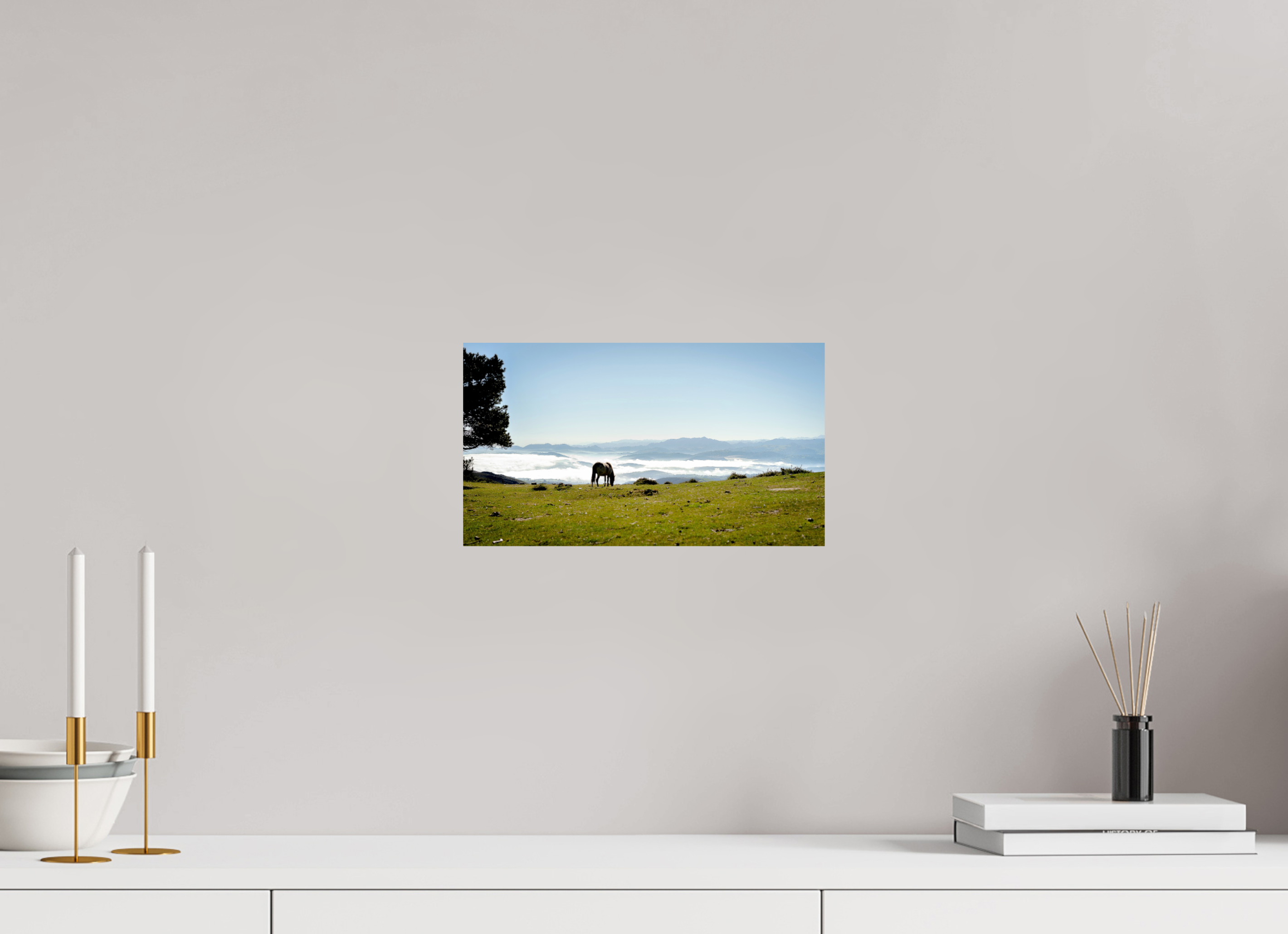 32 x 18 cm, Photo Print On Fuji Crystal DP II A Horse with a View