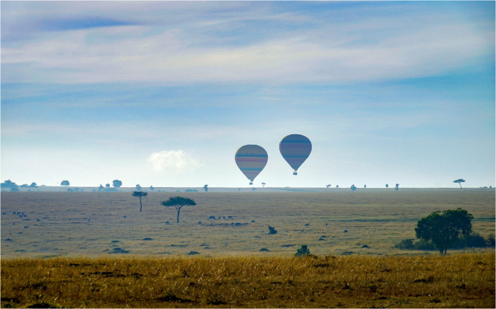 Main image Hot-air Balloon over the Savanna