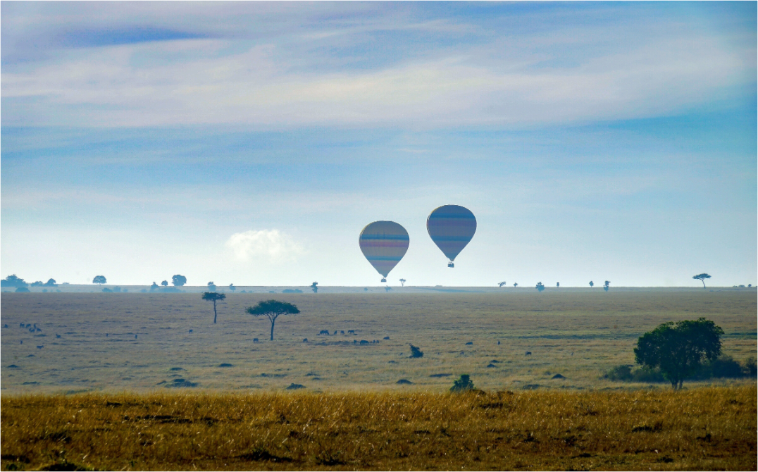Main image Hot-air Balloon over the Savanna
