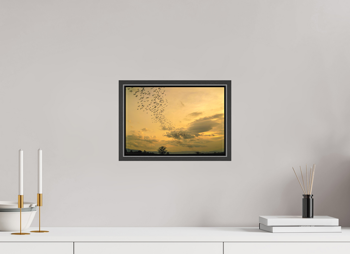 30 x 20 cm, Textile Print Canvas with 15 mm Width Gap Frame Dusk Emergence