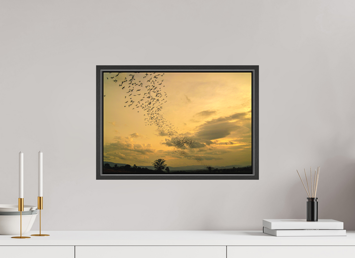 45 x 30 cm, Textile Print Canvas with 15 mm Width Gap Frame Dusk Emergence