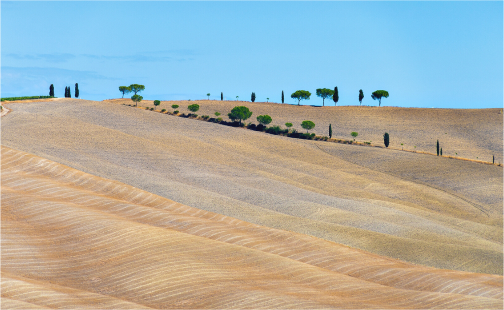 Main image Waves of the Harvest, Tuscany, Italy