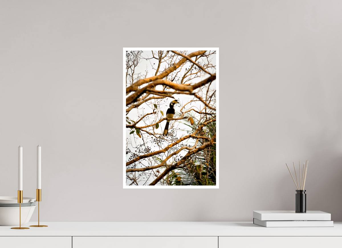30 x 45 cm, Fujiflex High Gloss with 1 cm Border Hornbill at Rest