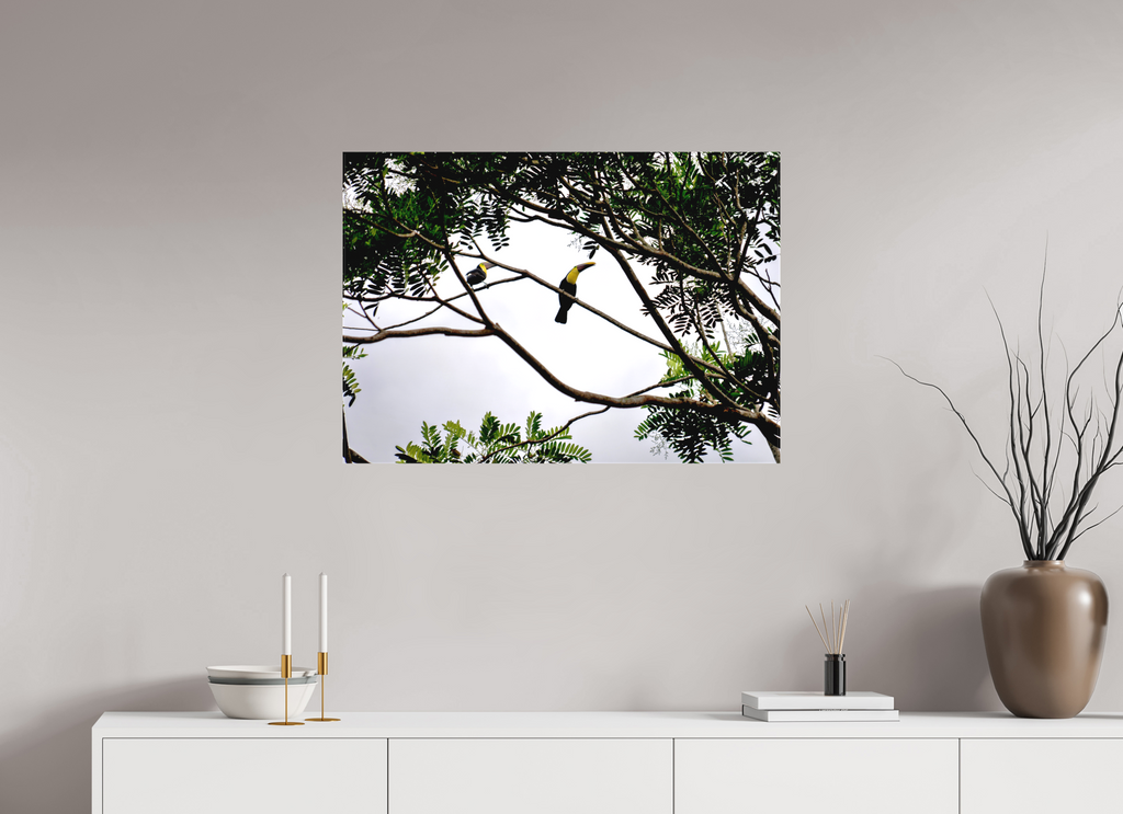 84.7 x 60 cm, Matte Canvas on Stretcher Frame A Hornbill on a Branch
