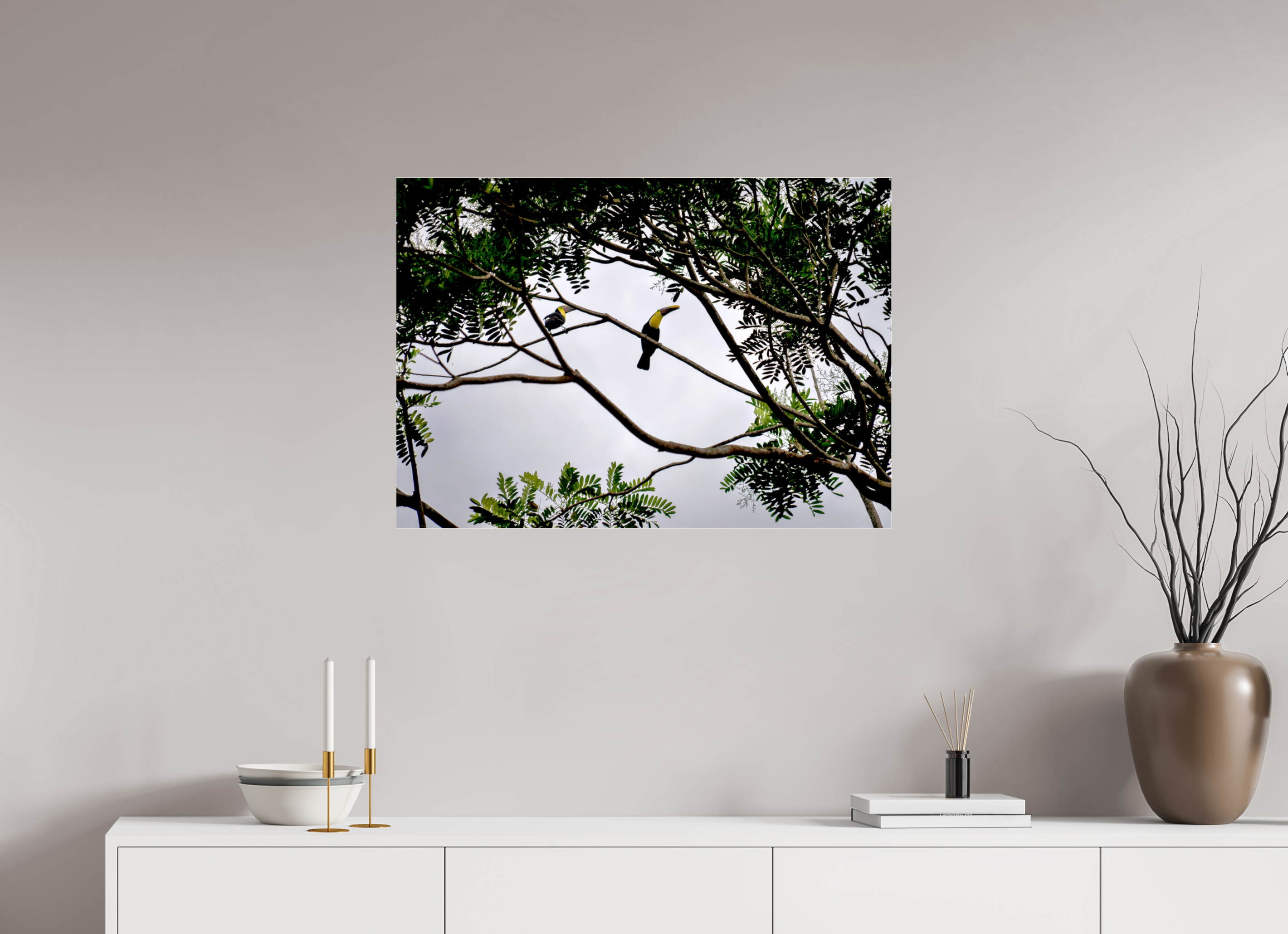 84.7 x 60 cm, Photo Print Under Acrylic Glass A Hornbill on a Branch