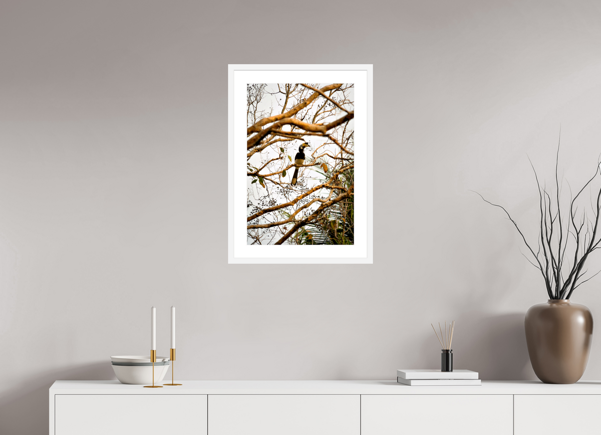 40 x 60 cm, Fine Art Print with Frame Hornbill at Rest