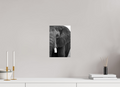 20 x 30 cm, Monochrome Glossy Print on Ilford Paper The Hidden Side of the Elephant