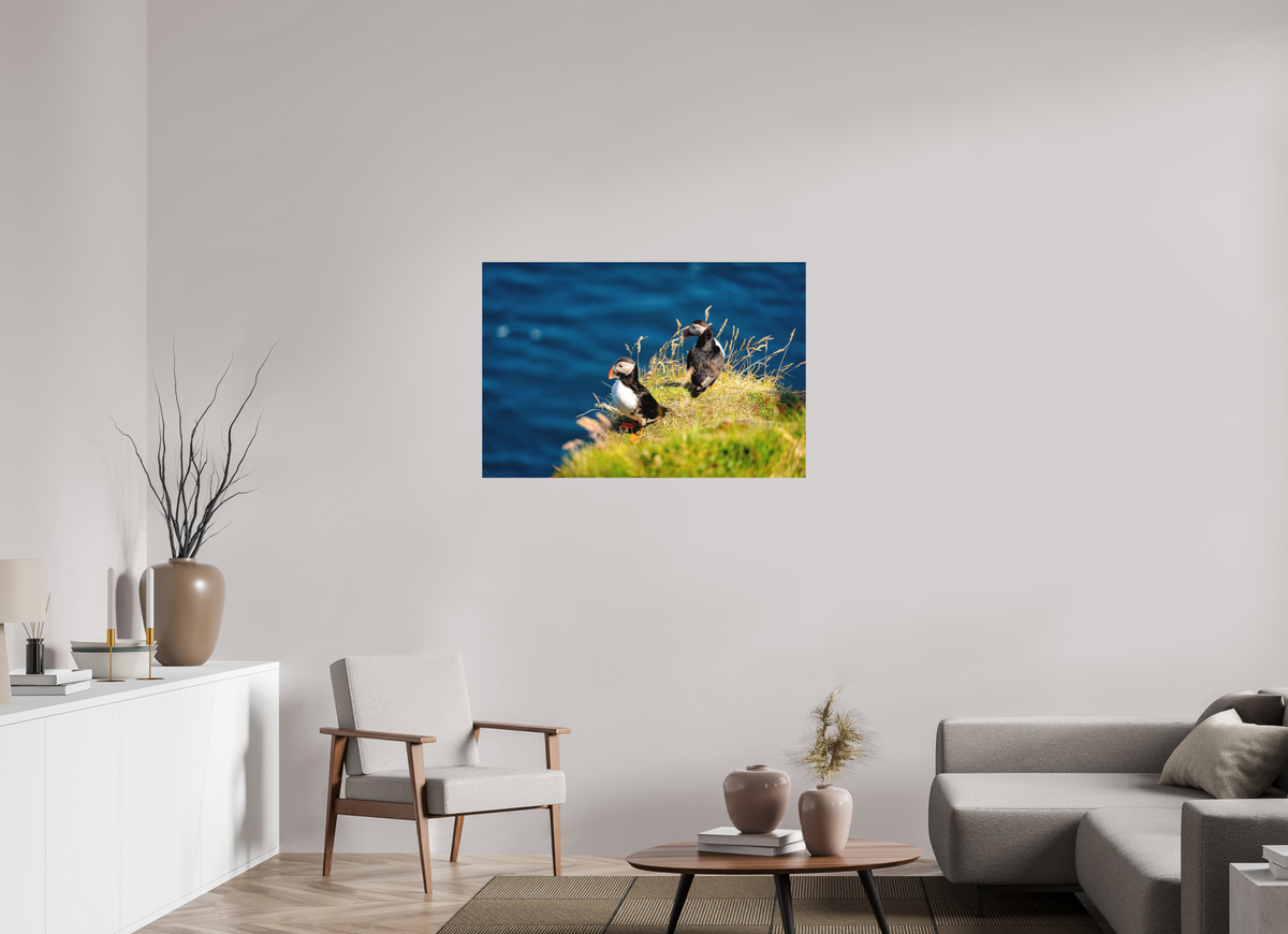 105 x 70 cm, Fine Art Print Smooth Clifftop Puffins