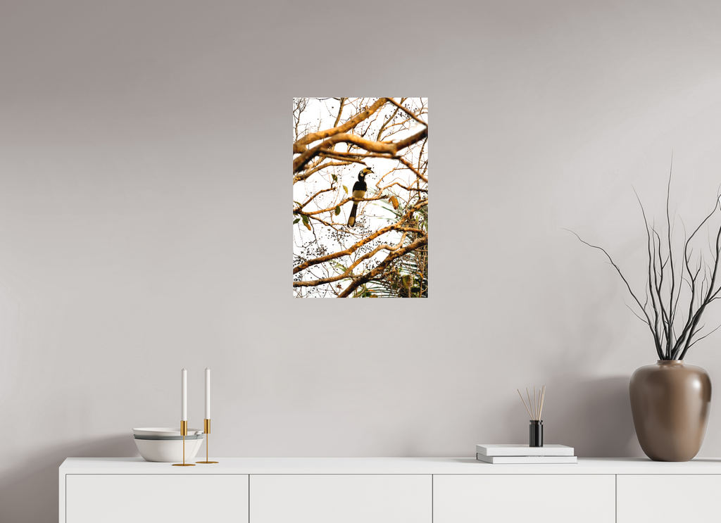 40 x 60 cm, Matte Canvas on Stretcher Frame Hornbill at Rest