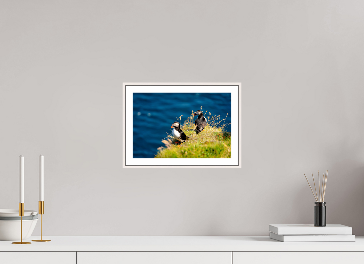 30 x 20 cm, Fine Art Print On Framed Aluminum Dibond Clifftop Puffins