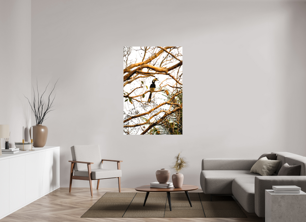100 x 150 cm, Matte Canvas on Stretcher Frame Hornbill at Rest