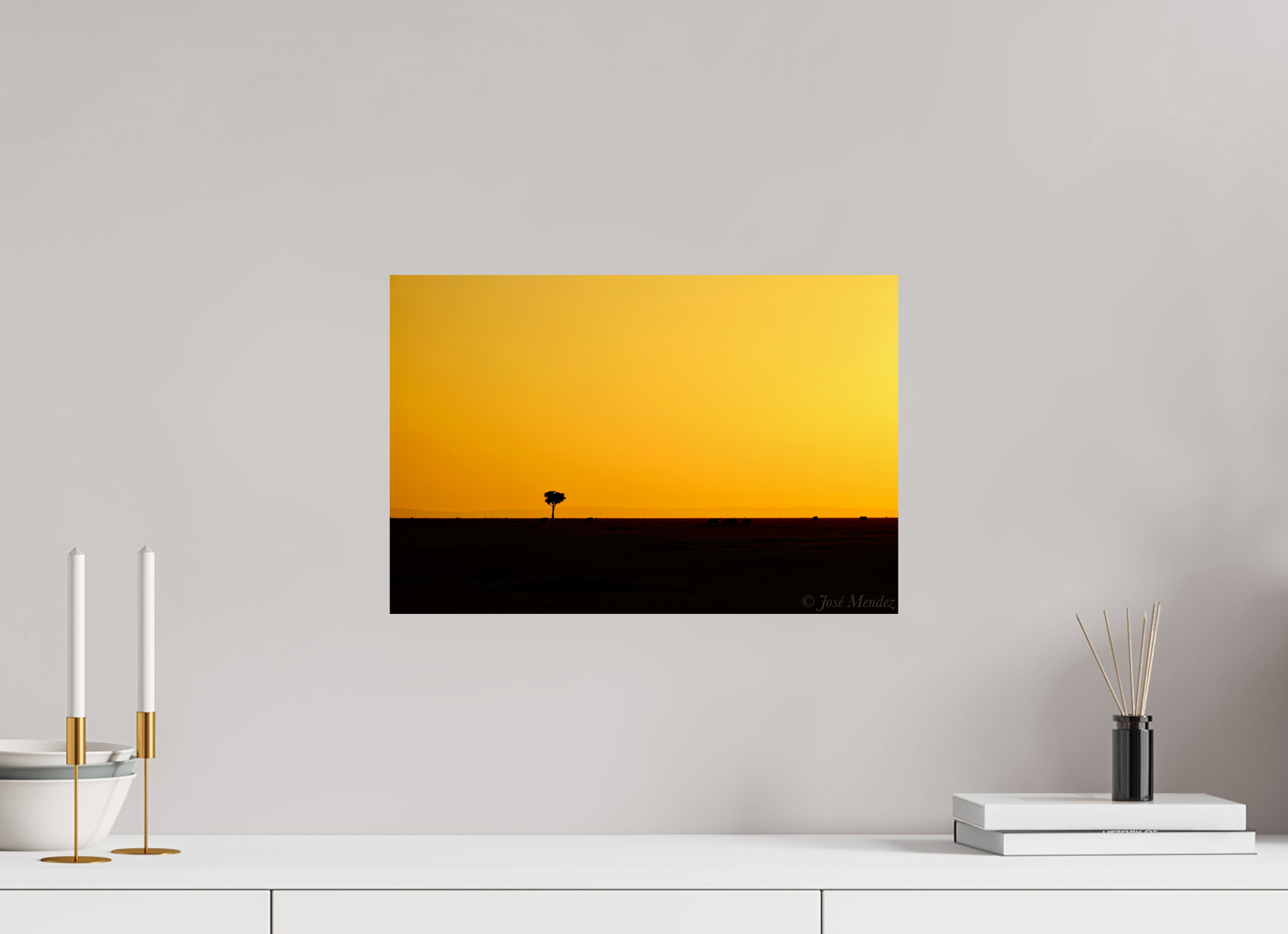 45 x 30 cm, Photo Print On Fuji Crystal DP II Acacia Tree at Twilight