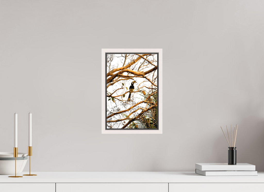 20 x 30 cm, Matte Canvas 15 mm Frame Hornbill at Rest