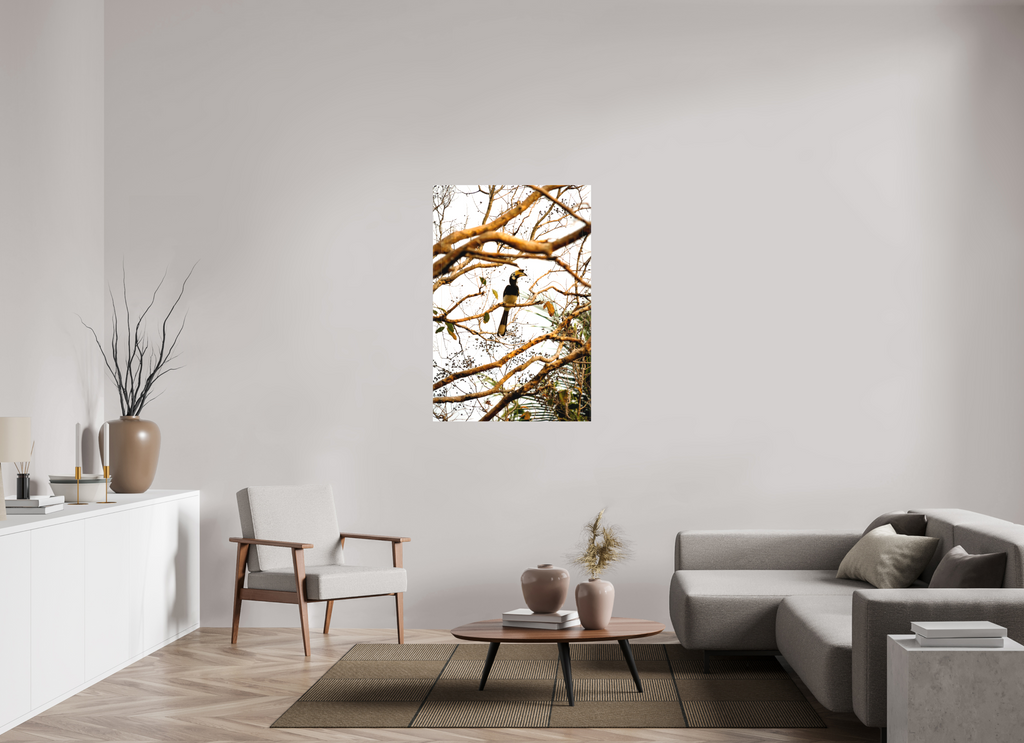 80 x 120 cm, Matte Canvas on Stretcher Frame Hornbill at Rest