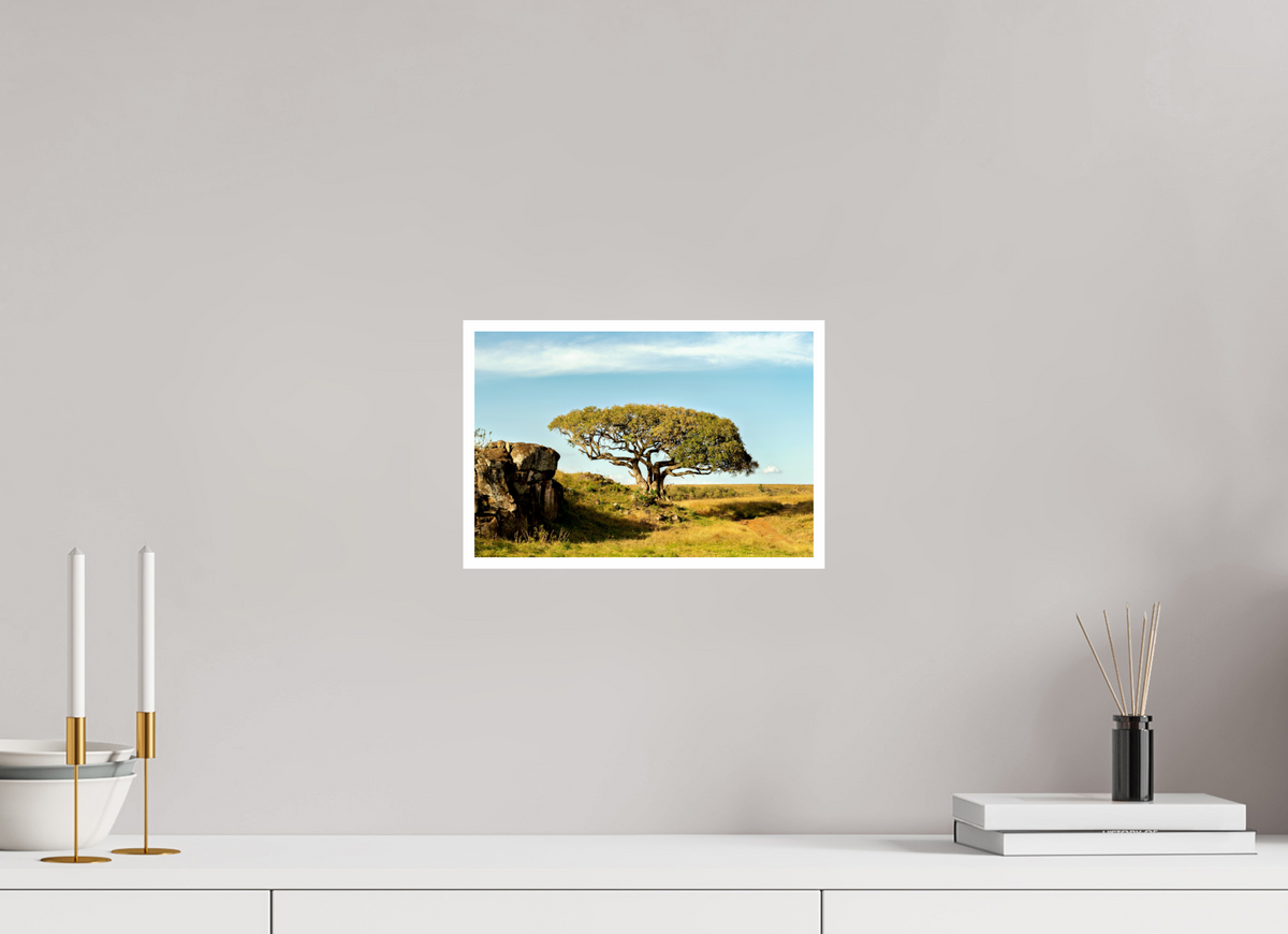 30 x 20 cm, Fujiflex High Gloss with 1 cm Border Acacia Tree - Masai Mara NP - Kenya