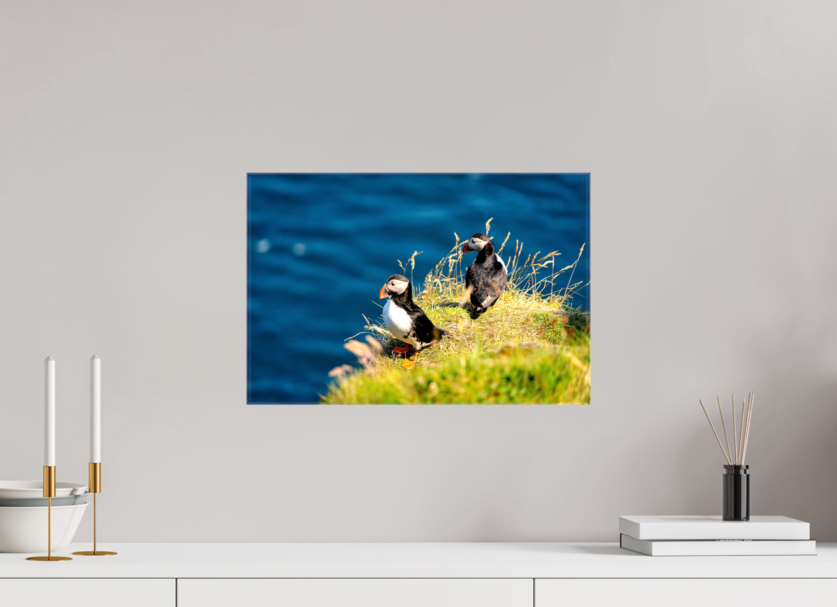 45 x 30 cm, Canvases Unframed Clifftop Puffins