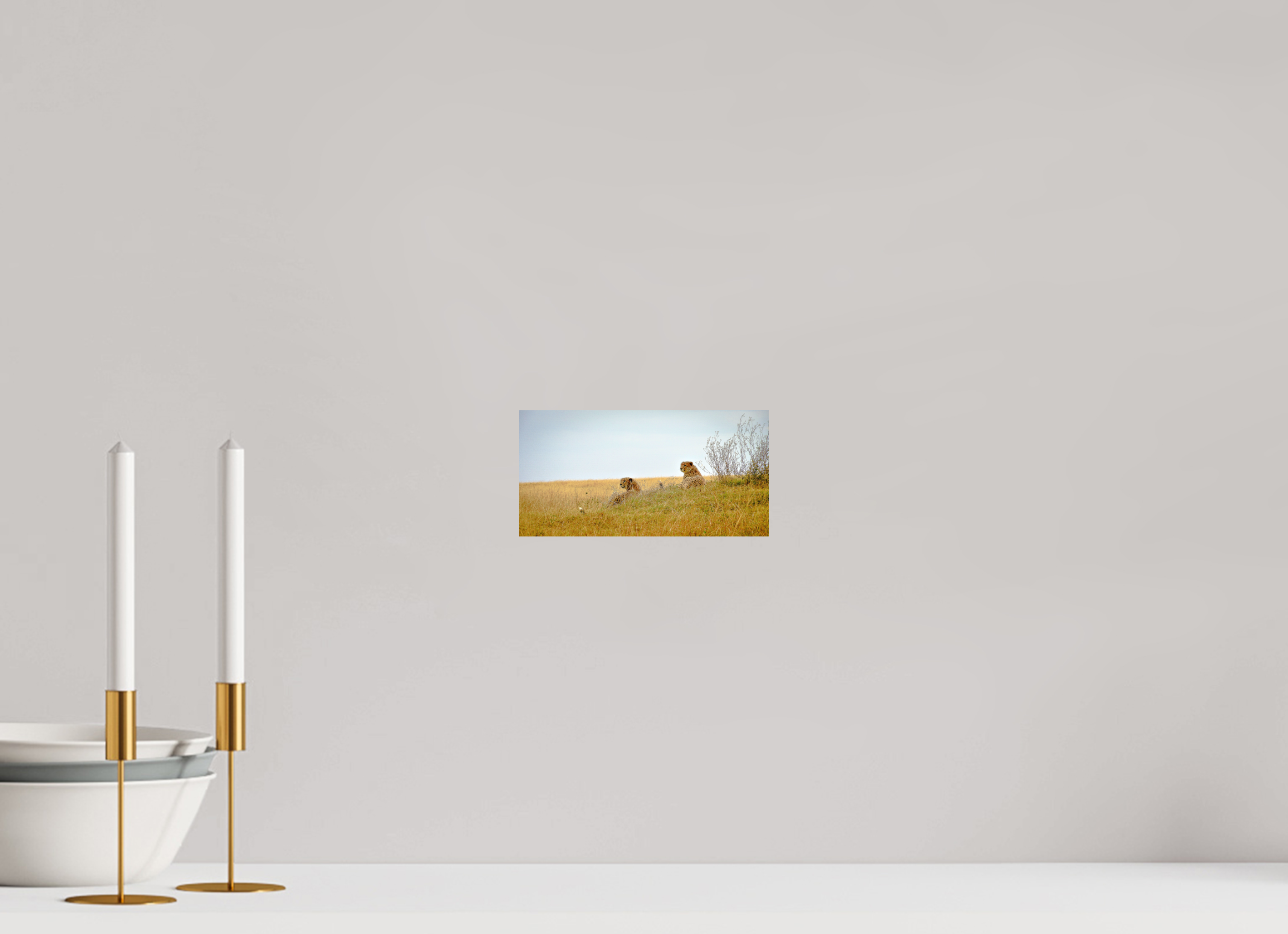 19.8 x 10 cm, PH Print On Fujiflex High Gloss Cheetah Connection