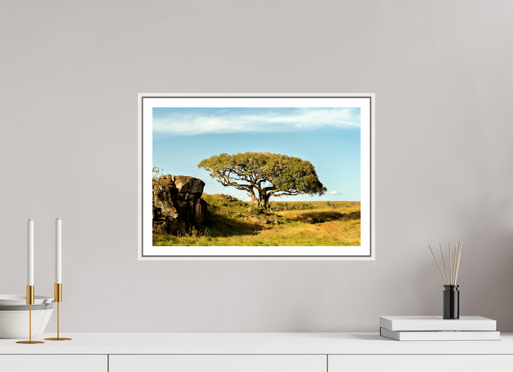 45 x 30 cm, Fine Art Print On Framed Aluminum Dibond Acacia Tree - Masai Mara NP - Kenya