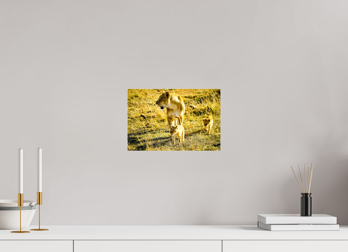 30 x 20 cm, Photo Print Under Acrylic Glass Savanna Legacy