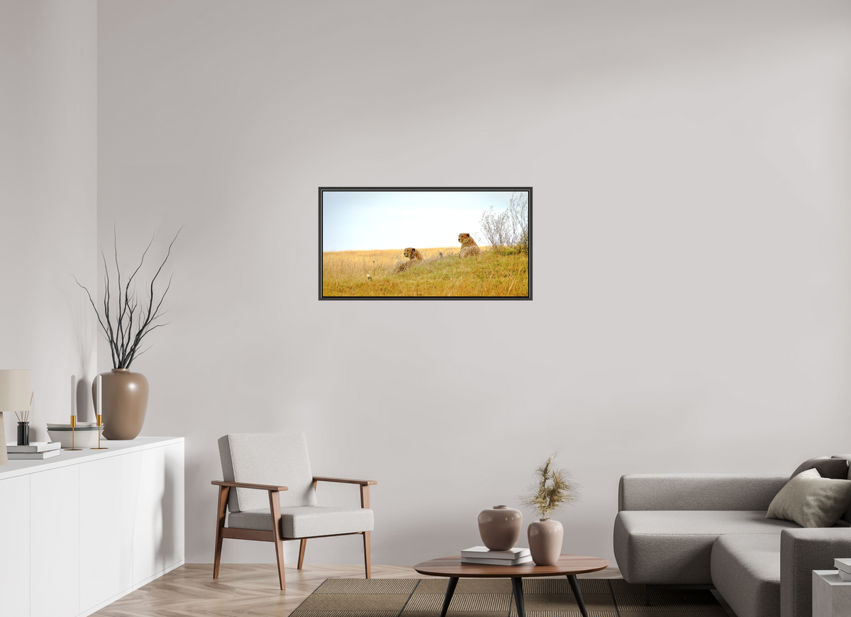 98.9 x 50 cm, Matte Canvas on 20 mm Stretcher Frame Cheetah Connection