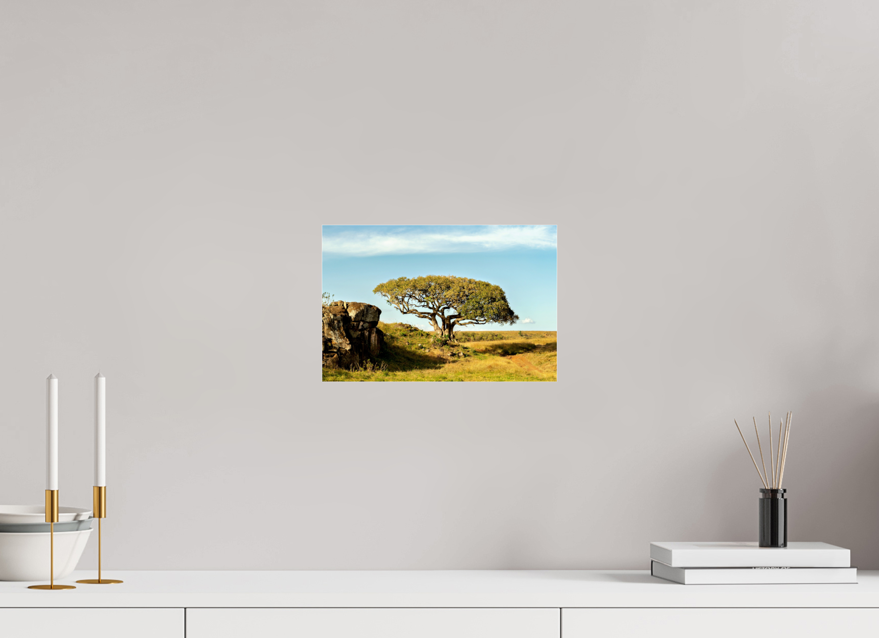 30 x 20 cm, Photo Print Under Acrylic Glass Her Majesty Tree