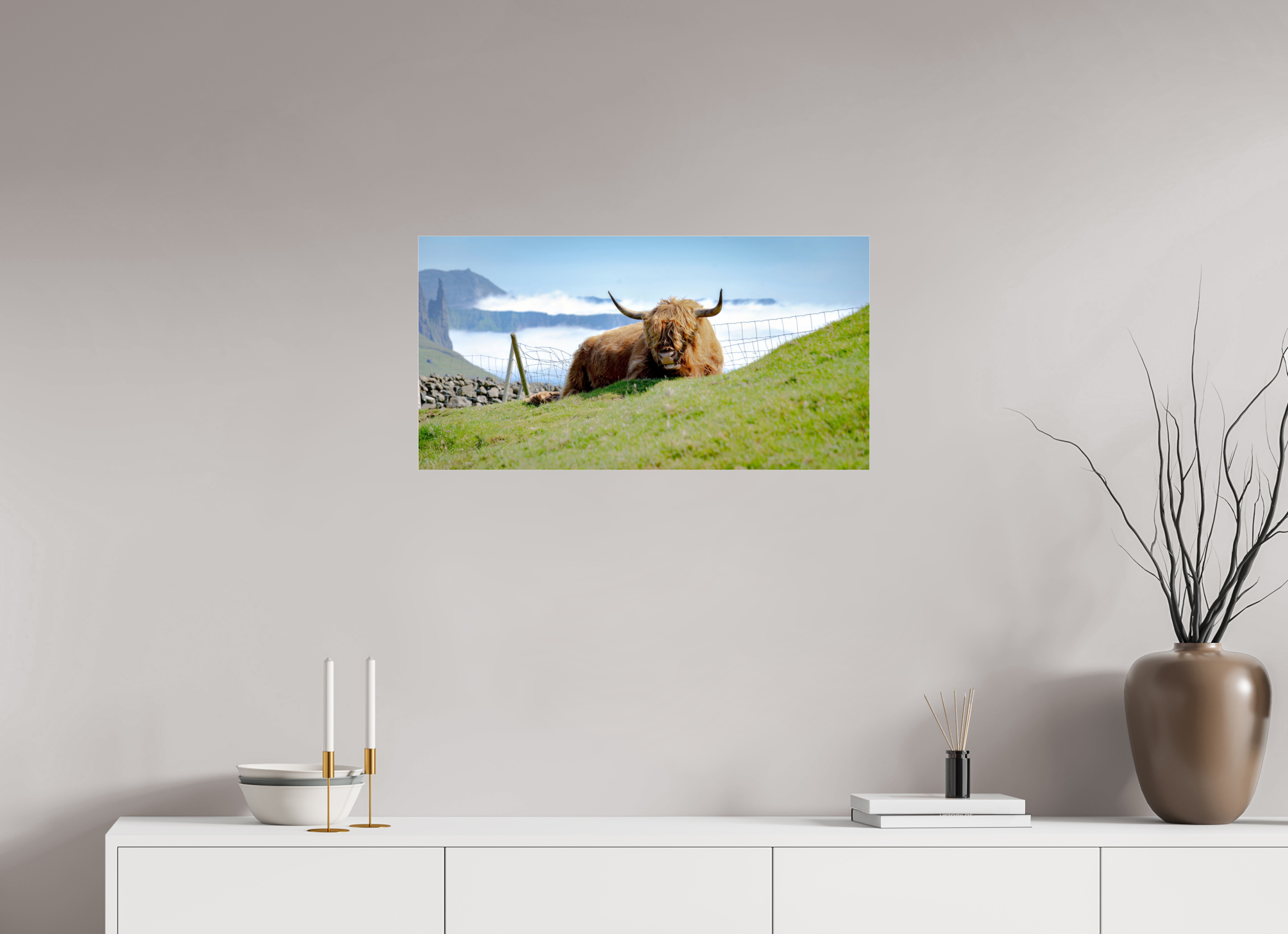 77.2 x 40 cm, Photo Print Under Acrylic Glass Highland Cow of the Faroe Islands