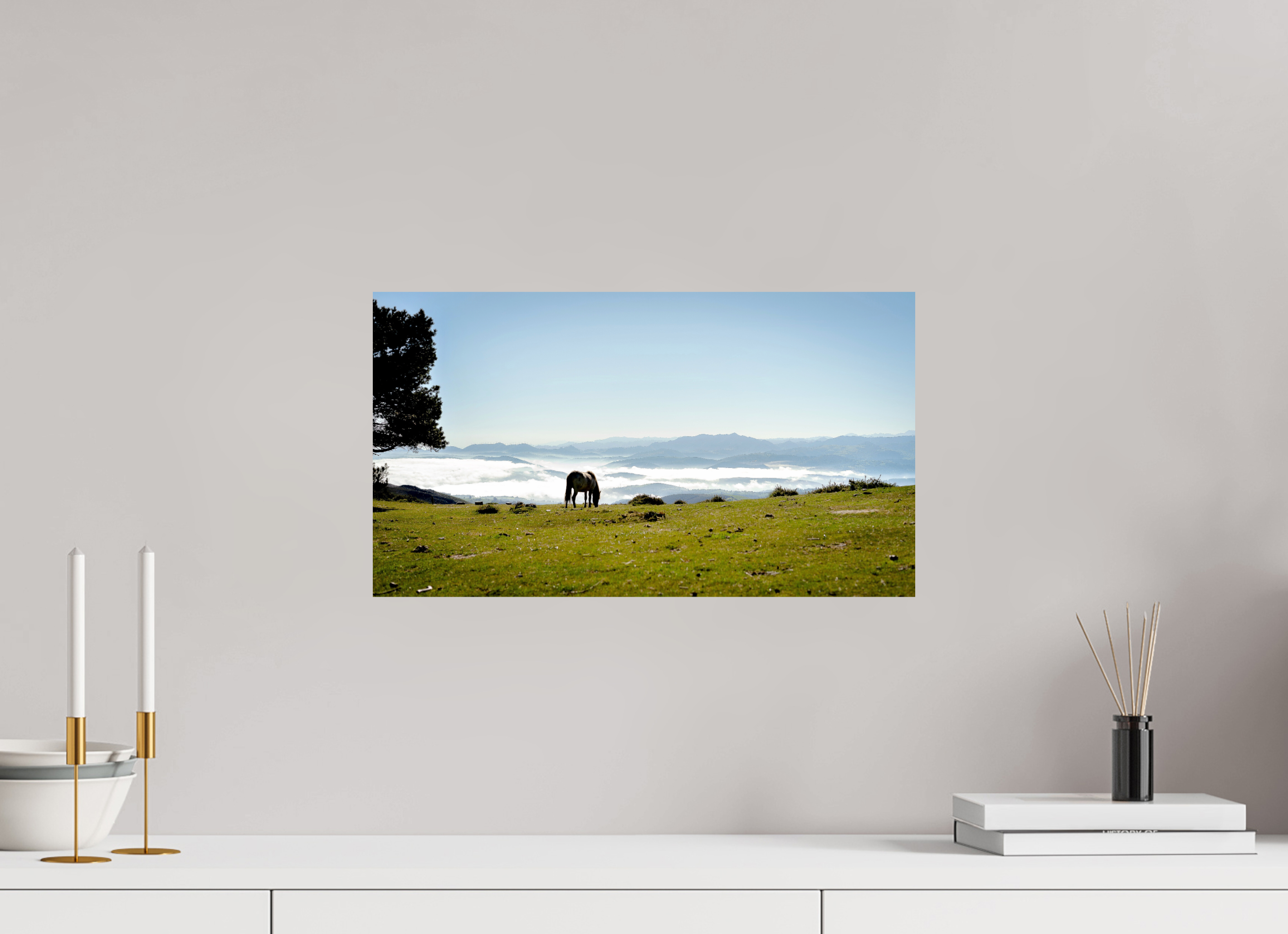 48 x 27 cm, Photo Print On Fuji Crystal DP II A Horse with a View