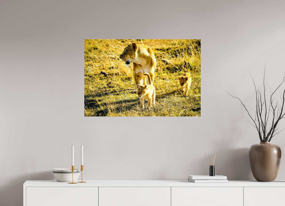 90 x 60 cm, Photo Print Under Acrylic Glass Savanna Legacy