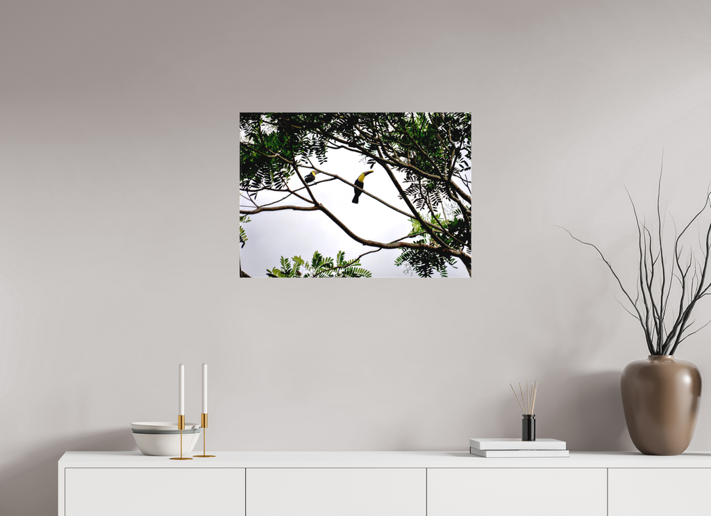 70.6 x 50 cm, Matte Canvas on Stretcher Frame A Hornbill on a Branch