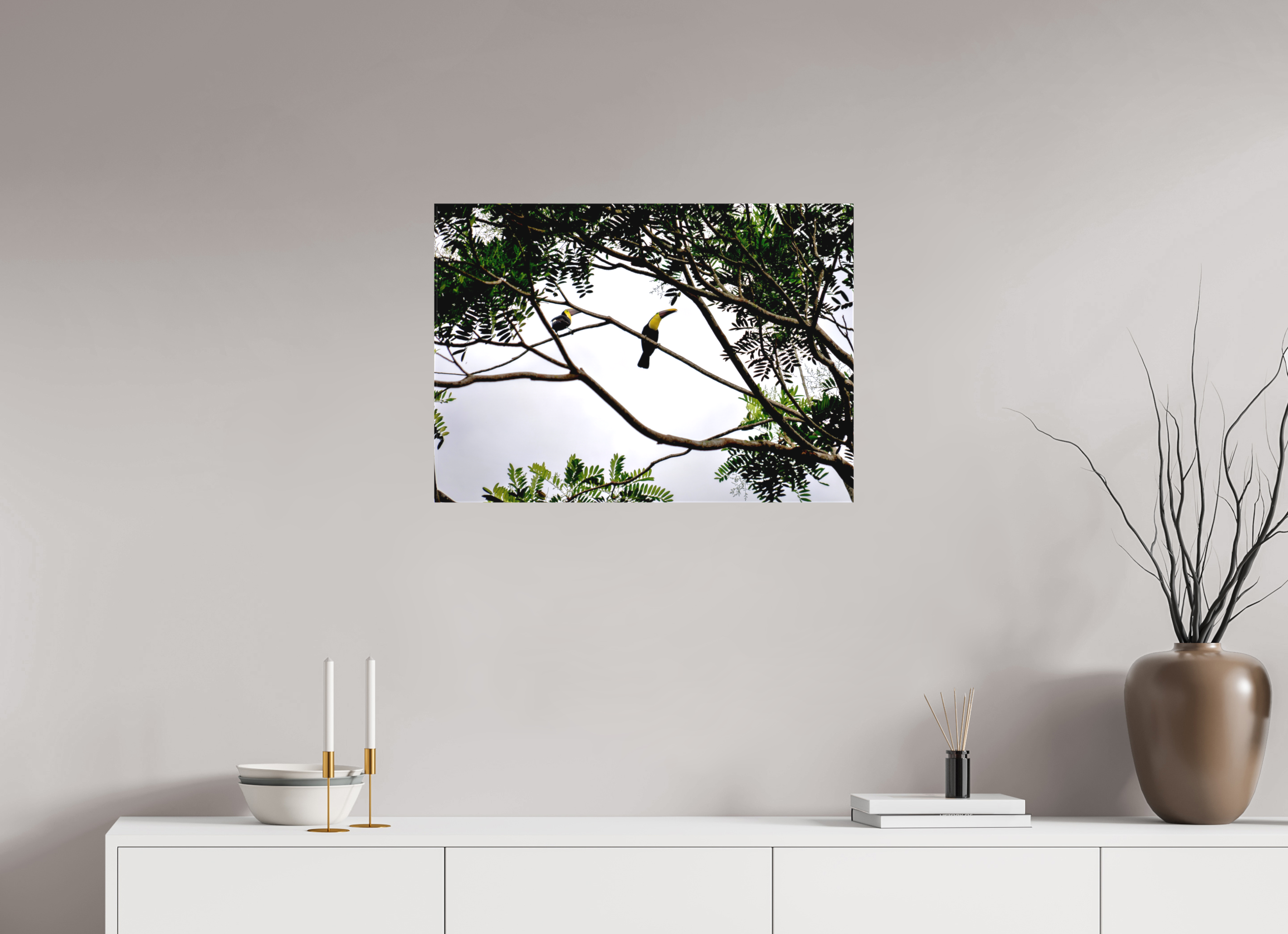 70.6 x 50 cm, Matte Canvas on Stretcher Frame A Hornbill on a Branch