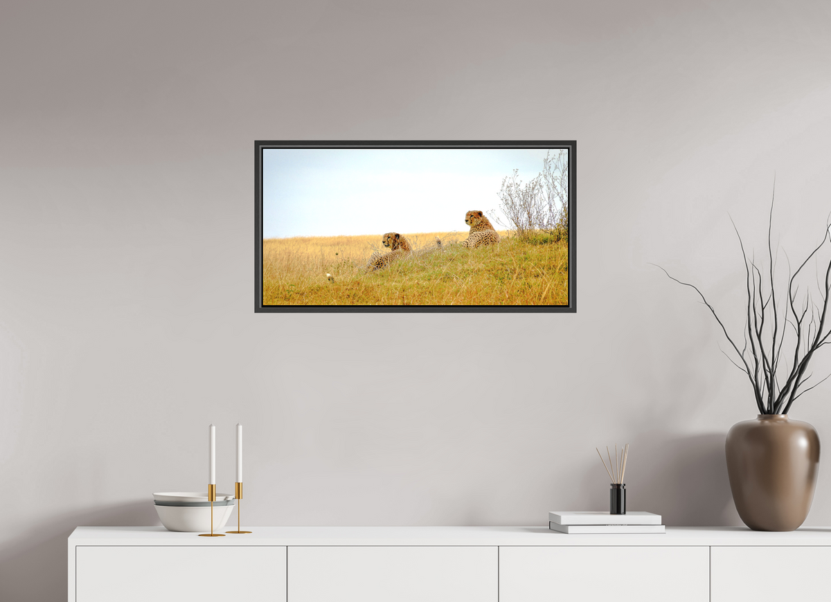 79.1 x 40 cm, Matte Canvas on 20 mm Stretcher Frame Cheetah Connection